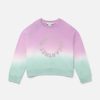 Barn Stella McCartney Trojor Och Koftor | Logo Ombre Sweatshirt