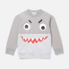 Barn Stella McCartney Koftor Och Trojor | Shark Face Colourblock Sweatshirt