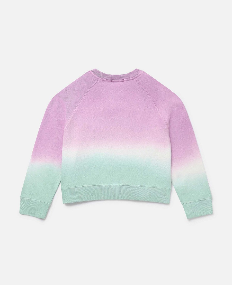 Barn Stella McCartney Trojor Och Koftor | Logo Ombre Sweatshirt